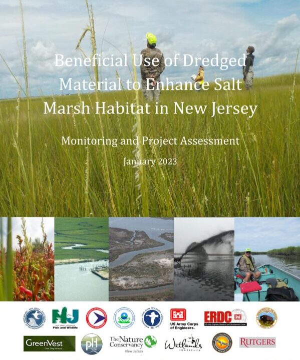Beneficial Use of Dredged Material to Enhance Salt Marsh Habitat in New Jersey report