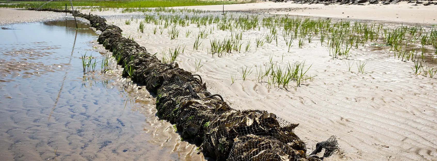 Coastal Resilience News and Videos - Climate Change and Coastal ...
