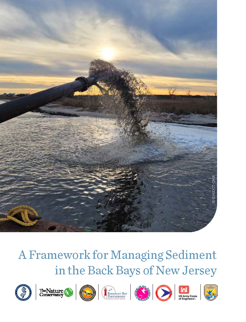 Cover for Framework report