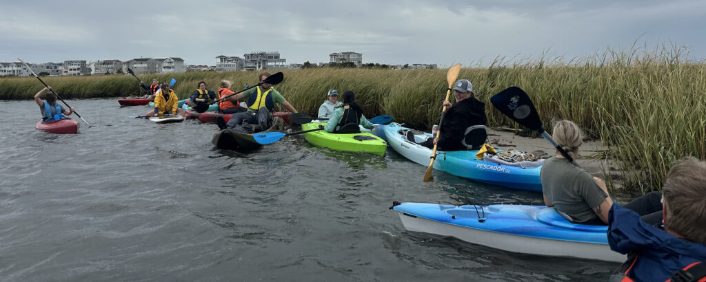 A group kayaks through a marsh area