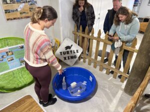 A group looking at young turtles in a container