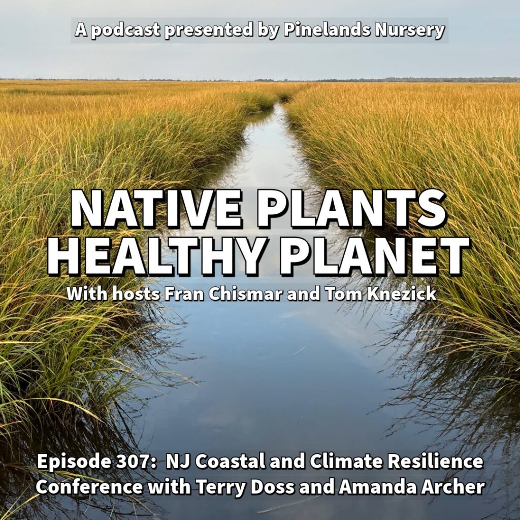 An image of a creek with text reading Native Plants Healthy Planet