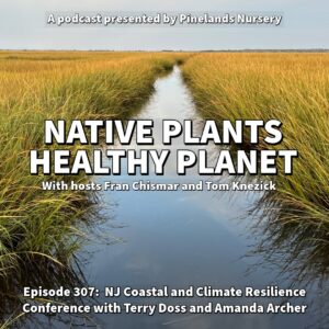 An image of a creek with text reading Native Plants Healthy Planet